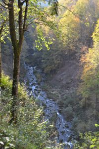 Cascades du hérisson