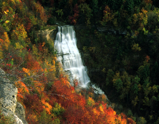 L'Eventail en automne