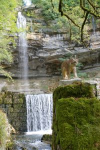 Cascades du hérisson