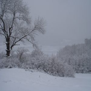 DSC01336