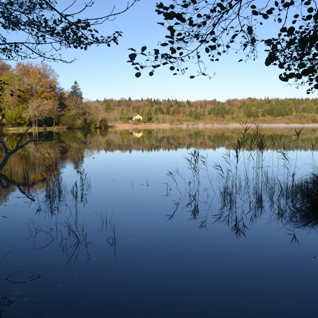 DSC 1185